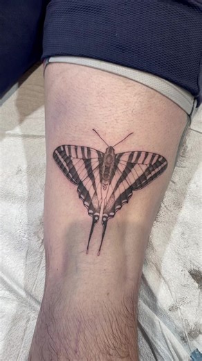 #tattoo #tattooartist #tattootimelaps #tattootime #tattoowithme #bloomtattooco