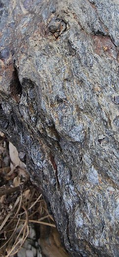 Unearthing Hidden Treasures: Gem-Hunting Adventure with Mountaineer