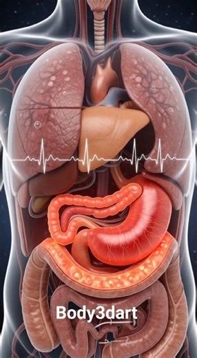 What Happens After You Eat an Apple? 🍎