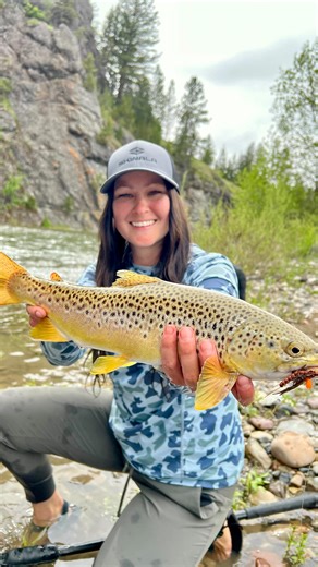 331 reactions · 11 shares | One of our favorite times of the year is...