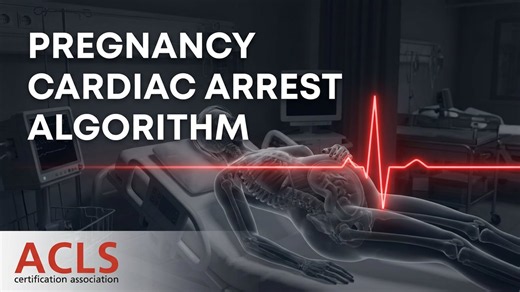 In-Hospital Cardiac Arrest in Pregnancy Algorithm