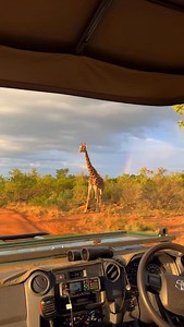 Heaven on earth? 🌈🦒 📍@ndlovu_safari_lodge - South Africa Follow @jackswynnerton for more incredible content. | Jack Swynnerton