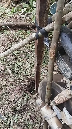 Logging Operations in Scenic Forested Area