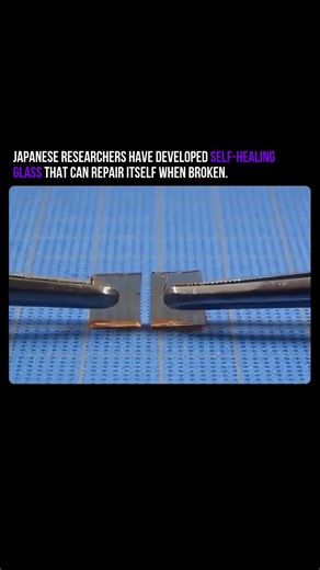 Japanese researchers have developed self-healing glass that can repair itself when broken.