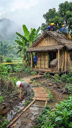 Abandoned Bamboo Hut to Dream Tropical Farm 🌿 Amazing Homestead Restoration Timelapse