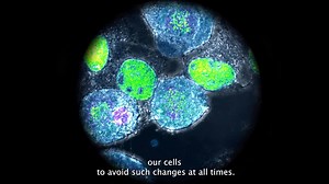 Protein Signaling Program