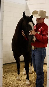 9.8K views · 197 reactions | Tune in for a tour of our stall set up here in Ocala, Florida at the 2025 Ride the Wave Premier Horse! | Diamond K | Facebook