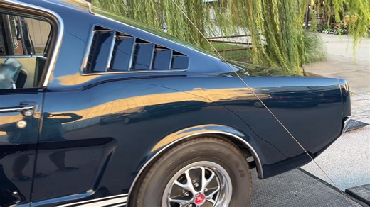 47,000 ORIGINAL mile 1966 Nightmist Blue GT fastback arrived today. The doors open and close as good as they did on the day the car was built .... very cherry machine. | QualityClassics.com