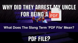What Does 'PDF File' Mean On TikTok? The Slang Version Of 'PDF File' Explained