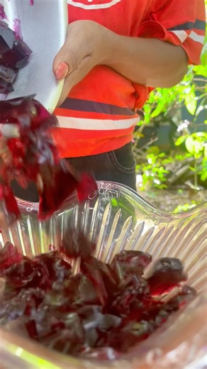 Easy Jelly Pudding Recipe | ජෙලි පුඩිං ලේසියෙන්ම හදමු 🍮#JellyPudding #DessertRecipe #nobakedessert