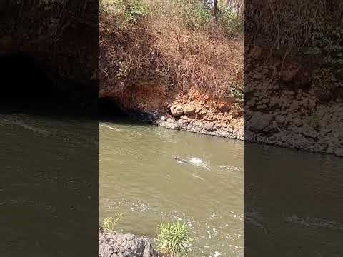 Swimming in a River | Techniques, Tips & Real Experience