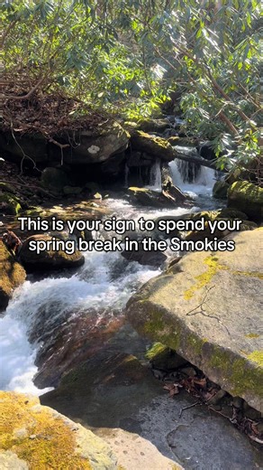 Anyone up for a spring break trip in the Smoky Mountains? #themountainsarecalling #gatlinburg #smokies #smokymountains