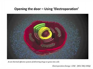 Electroporation of Cancer Cells