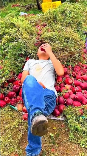 He won't sell the apples to me | Amazing Fresh delicious red Apple 🍎🍎 #apple #fruit