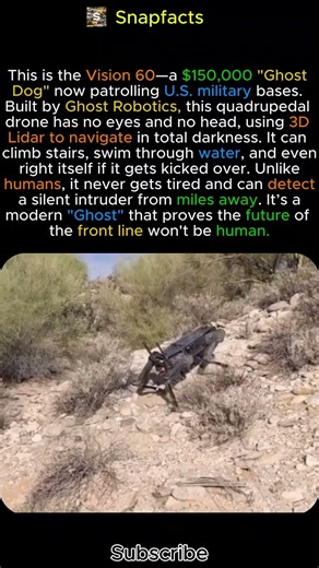 Why the US Built a $150,000 "Ghost Dog" 🇺🇸🐕 #shorts