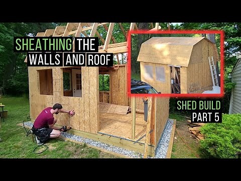 Sheathing a shed - walls and roof | Shed Build Part 5