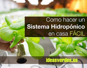 Hidroponía casera. Cómo Hacer Un Sistema Hidropónico Casero y Fácil