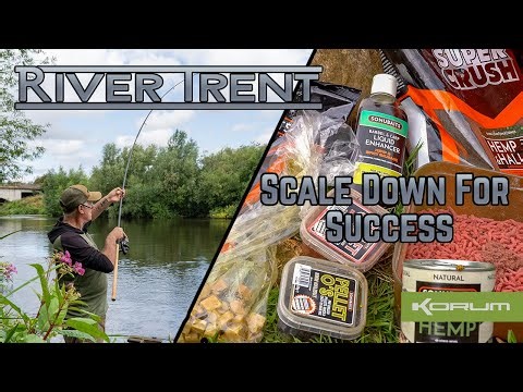 RIVER TRENT - SCALING DOWN CAN KEEP BITES COMING