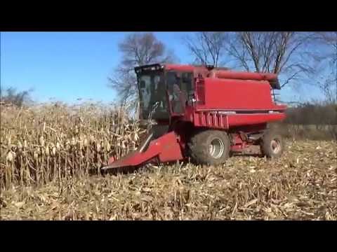 Combining Corn In The Mud! With A Case IH 1620