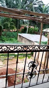 Tiger Land Engineering & Construction Company LTD. on Reels