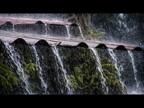 Heavy Rain & Thunder on the Roof 🌧️ Fall Asleep Fast | Deep Sleep Rain Sounds (No Stress)