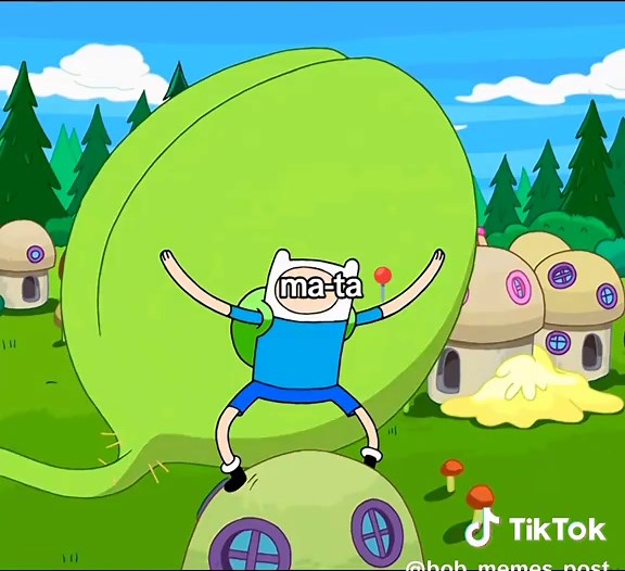 Hora de Aventura: Memes dos Viajantes do Tempo