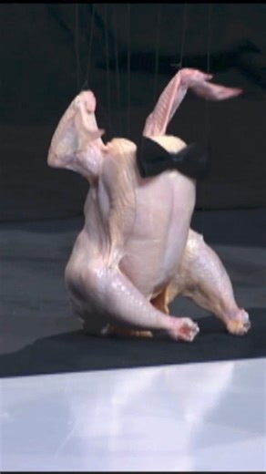 Nadie se esperaba ver el acto de un pollo desplumado, da risa de nervios 😅 | #EstrellaTV | Tengo Talento Mucho Talento
