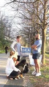 Ask a Lawyer Mastering Virtual Legal Job Interviews A Lawyer's Guide