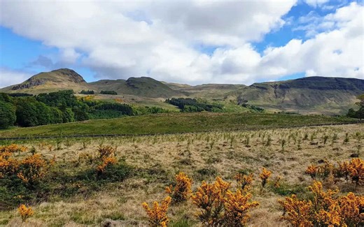 La Scozia selvaggia in bici: alla scoperta del Badger Divide