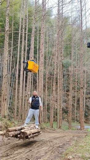 Transporting timber with a steel cable ropeway conveyor
