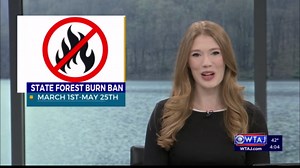 State forest burn ban