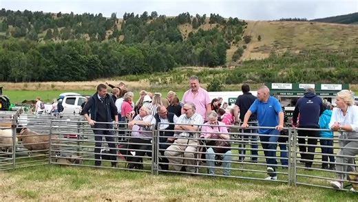 Crowds are gathering here at the Blackie ring in Peebles | The Scottish Farmer