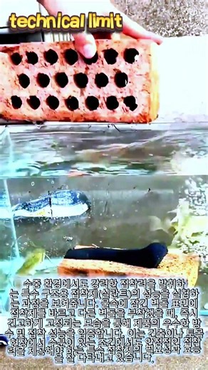 물속에서 붙는 강력 접착제 테스트 #worker #process #waterproof #innovation #tech