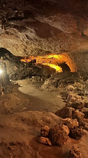 This Is Actually in Florida?! Inside Florida Caverns State Park