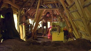 2.9K views · 149 reactions | Remember Thorn’s forest house? Take a...