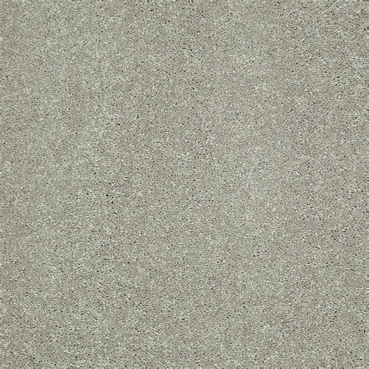 Check The Home Depot's Q&A Before Buying: Home Decorators Collection Brave Soul I - Sedona Dust - Beige 34.7 oz. Polyester Texture Carpet - Installation Required