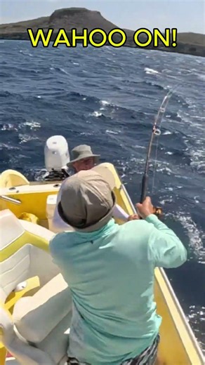 Hooked a BEAUTIFUL Wahoo on a Dream Fishing Day in Curaçao! 🌴🎣