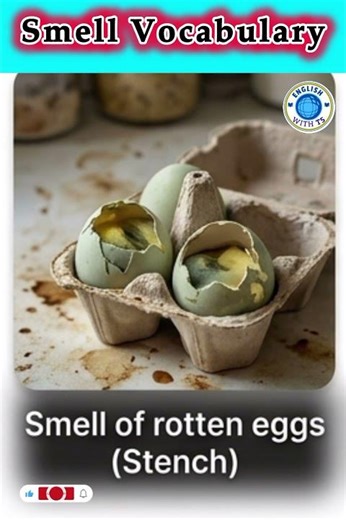 #smellvocabulary | Learn Smell Vocabulary in English | Good & Bad Smells #shorts