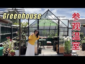 Visit My Greenhouse | How to choose and build a greenhouse 参观温室，经验体会 + 如何选购 + 建造注意事项