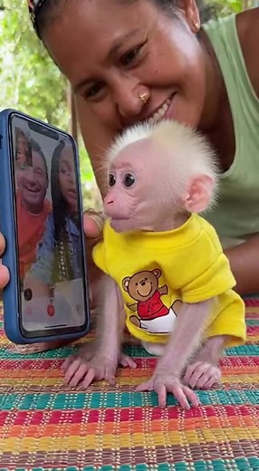 "He's Locked In!" - Baby Monkey is Fascinated by FaceTime | Monkey Sora US