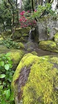 Spring arrives: Views from Seattle Japanese Garden