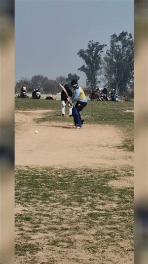 Cut Shot for Four 🏏🔥 #shorts