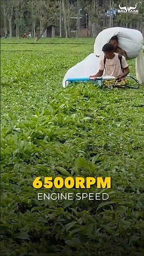 😱 Amazing Tea Harvester | Balwaan Tea Harvester | TH-26