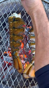 3.7M views · 38K reactions | The perfect way to Celebrate National Lobster day. ❤️咽 These gigantic lobster tails grilled over live fire and drizzled in some rich ghee butter. Does it get any better?? #lobster #nationallobsterday #seafood #hookedonbbq | Hooked on BBQ | Facebook