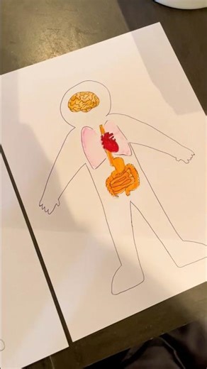 Human body lesson: magic X-ray to learn about organs!