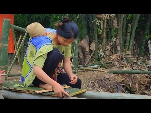 Single Mother’s Daily Work: Making a Bamboo Bridge at Home