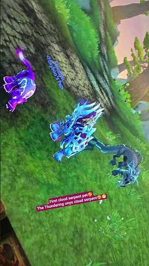my first cloud serpent pet tamed🥰 #wow #worldofwarcraft #worldofwarcraftclips #worldofwarcraftlove