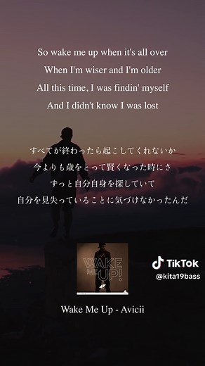 Avicii - Wake Me Up (Lyrics Music Video)
