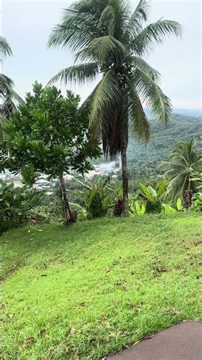 Rabaul smoking volcano Caldera you can see it on the ship tour and Papua New Guinea ￼
