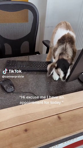 Heritage Breeds Week Event May 23-27 at Conner Prairie